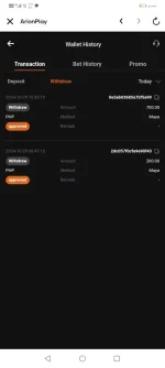 Screenshot_20241029_104450_com.paymaya.jpg