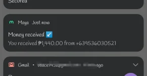 Screenshot_20241026_172839.webp