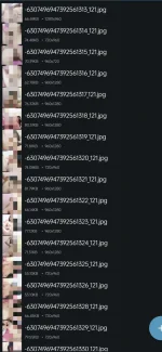 1000021716.webp 1000021716.webp