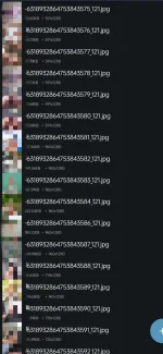 1000022077.webp 1000022077.webp