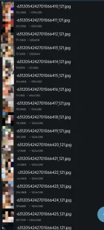 1000022544.webp