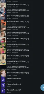 1000022753.webp
