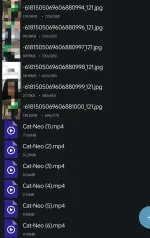 1000023976.webp 1000023976.webp