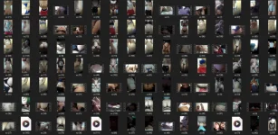 1730948737262.webp
