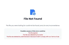 1731062683929.webp