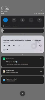 Screenshot_2024-11-09-00-56-47-153_com.miui.home.webp