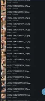 1000025743.webp