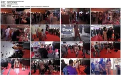 ba3e27758db62cbdf08aa4121a37d86c.webp