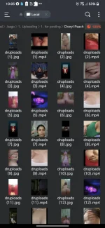 Screenshot_20241116-100546.webp