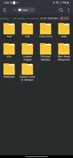 Screenshot_20241116-145056.webp