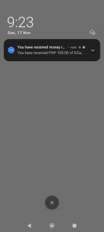 Screenshot_2024-11-17-21-23-59-297_com.duckduckgo.mobile.android.webp