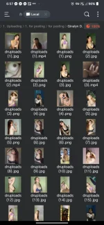 Screenshot_20241118-065729.webp