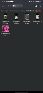 Screenshot_20241118-171601.webp