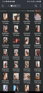 Screenshot_20241119-051447.webp