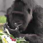 200.gif 200.gif