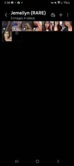 Screenshot_20241126_023809_Gallery.jpg