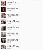 1000039358.webp 1000039358.webp