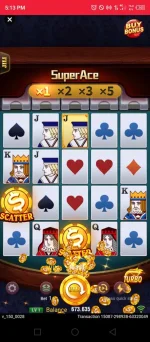 Screenshot_20241126-171355.webp