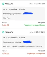 Screenshot_20241127-090509_DuckDuckGo.webp