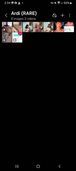 Screenshot_20241127_143441_Gallery.jpg