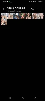 Screenshot_20241129_022724_Gallery.jpg