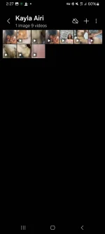 Screenshot_20241129_022730_Gallery.jpg