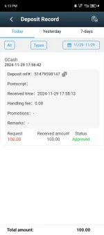 Screenshot_20241129-181344.webp