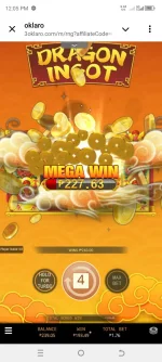 Screenshot_20241130-120521.webp