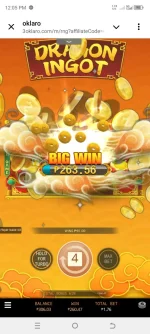 Screenshot_20241130-120535.webp