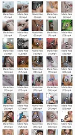 1000042853.webp 1000042853.webp