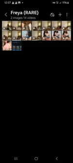 Screenshot_20241205_120736_Gallery.jpg