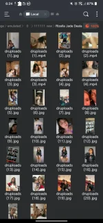 Screenshot_20241206-062445.webp