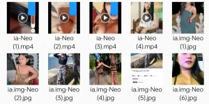 1000043544.webp 1000043544.webp