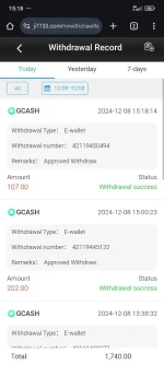 Screenshot_2024-12-08-15-18-38-405_com.android.chrome.webp