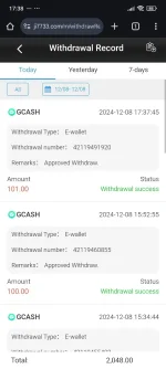 Screenshot_2024-12-08-17-38-07-886_com.android.chrome.webp