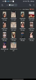 Screenshot_20241209-015712.webp