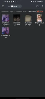 Screenshot_20241209-123947.png