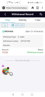Screenshot_20241210_051100_com.duckduckgo.mobile.androig.webp
