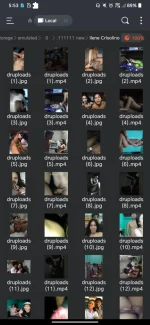 Screenshot_20241210-055356.webp