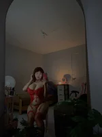 1733885108411.webp