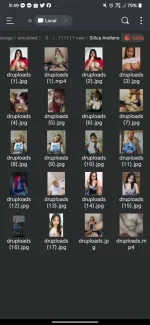 Screenshot_20241211-214910.webp