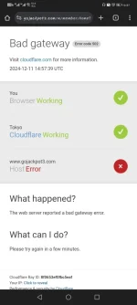 Screenshot_20241211_225747_com.android.chrome.webp