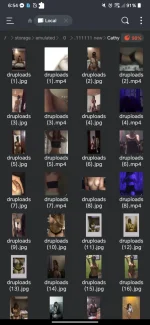 Screenshot_20241213-065432.webp