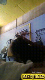 copy_6BEB8CE1-D239-4E79-93D7-7187D718FD58.gif