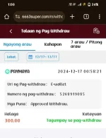 Screenshot_2024_1217_010032.webp