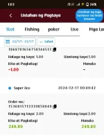 Screenshot_2024_1217_010317.webp