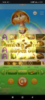 1000002293.webp