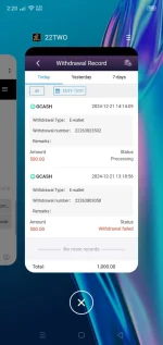 Screenshot_2024-12-21-14-20-24-62.webp