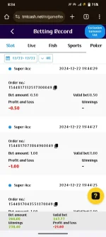 Screenshot_20241222_203420.webp Screenshot_20241222_203420.webp