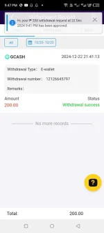 Screenshot_20241222-214758.webp
